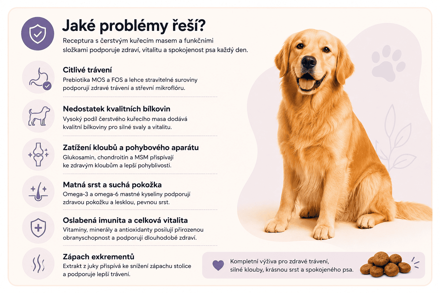 AG Adult kuře Zdravá výživa pro spokojeného psa